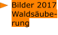Bilder 2017 Waldsäube- rung